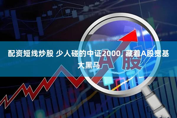 配资短线炒股 少人碰的中证2000, 藏着A股宽基大黑马