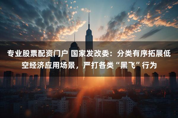 专业股票配资门户 国家发改委：分类有序拓展低空经济应用场景，严打各类“黑飞”行为