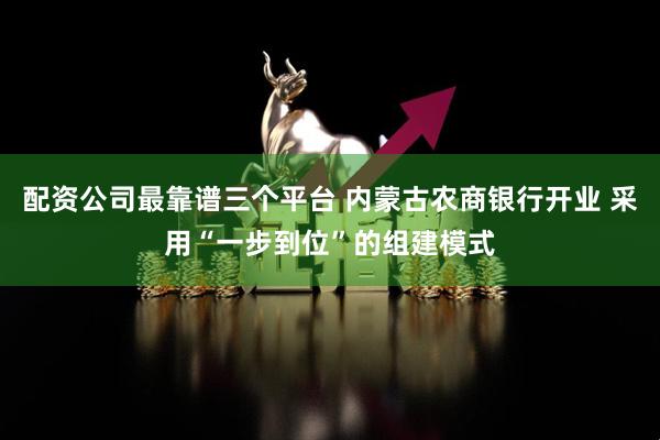 配资公司最靠谱三个平台 内蒙古农商银行开业 采用“一步到位”的组建模式