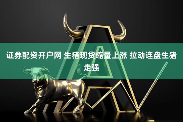 证券配资开户网 生猪现货缩量上涨 拉动连盘生猪走强