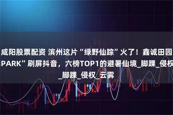 咸阳股票配资 滨州这片“绿野仙踪”火了！鑫诚田园“上岸PARK”刷屏抖音，六榜TOP1的避暑仙境_脚踝_侵权_云雾